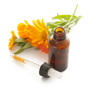 Homeopathic Medicine: Calendula Officinalis